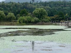 -函谷关历史文化旅游区