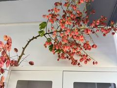 -浙江省中医院(湖滨院区)