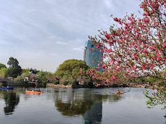-无锡蠡湖国家湿地公园-蠡园