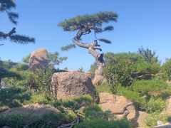 -罗红摄影艺术馆