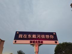 -老王头饺子(孟家店)