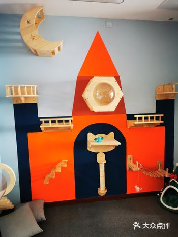 猫奴集结地，适合猫咪寄养的度假酒店