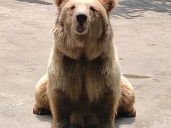 -贵州森林野生动物园