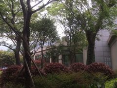 IMG_4276-宁波九龙湖开元度假村