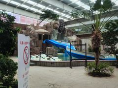 -南宫五洲植物乐园