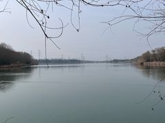 -南湖湿地公园