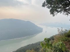 -铁山坪森林公园