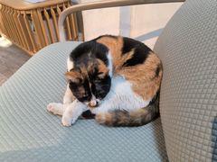 -梵几(东信·和创园店)