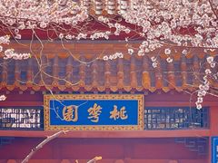 -桃花堤公园