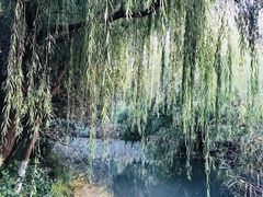 -大宁灵石公园西门票处