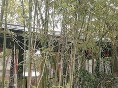 -西安国际创新人才交流中心•药浴温泉