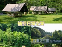 -云溪植物园