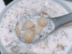 鲜奶桃胶莲子-堂屋糖水店(愚园店)