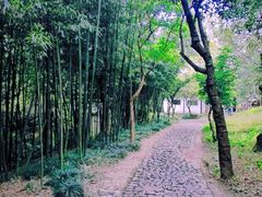 -狼山风景名胜区