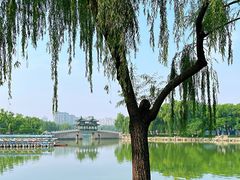 -万柳阁小馆·花园餐厅(龙潭湖店)