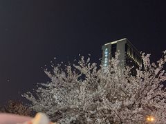 -麦当劳(无锡永乐店)