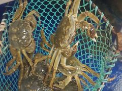 -阳澄湖大闸蟹·琼灵阁牌品牌连锁(吴中总店)