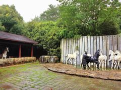 -白马涧龙池景区
