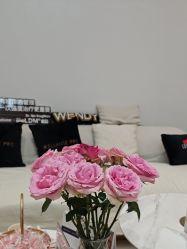 -WENDY·温迪皮肤管理