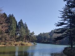 -四明山国家森林公园
