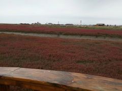 -盘锦红海温泉乐园
