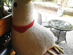 -彼芝奇比萨(红坊店)