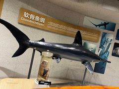 -青岛海底世界-水族馆