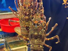 -东江海鲜大排档·潮汕菜·砂锅粥