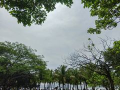 -深圳湾公园(南山区)