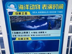 -秦皇岛乐岛海洋王国