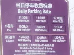 -迪士尼乐园停车场