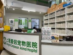 -爱侣宠医·鹦鹉专科·小型哺乳类·异宠专科(灵石路店)