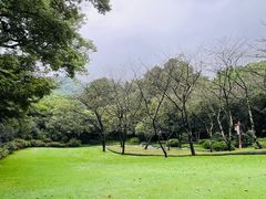 -中国茶叶博物馆(双峰馆区)