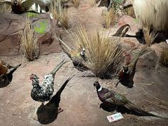 -陕西自然博物馆