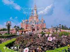 -上海迪士尼度假区