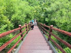 -北京凤凰岭