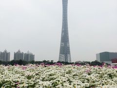 -海心沙亚运公园