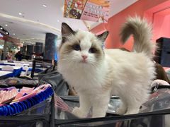 -天虹购物中心(石路店)