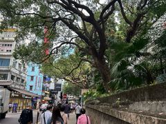 -九龙公园