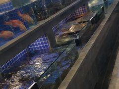 -外滩·云南人家(昆明旗舰店)