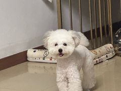 -心仪动物医院·牙专科·肿瘤·心脏科(西客站院)