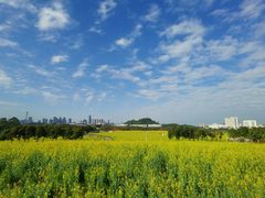 -光明小镇欢乐田园