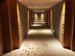 -深圳机场凯悦酒店