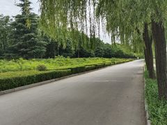 -洨河生态公园