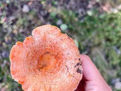 -北京宽沟会议中心