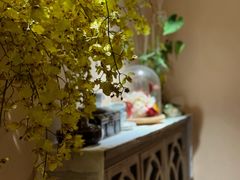 -蓝山四季西餐植物店