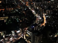 -六本木新城展望台(东京城市景观)
