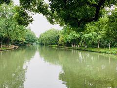 -西溪国家湿地公园