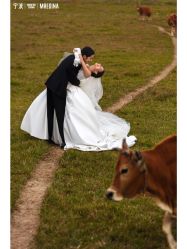 -Mregina 美人纪摄影(样片研发中心)