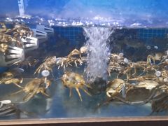-蟹小姐节气生鲜·年货(高新店)